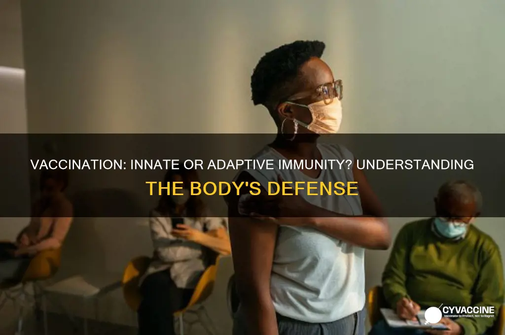is vaccination an example of innate or adaptive immunity