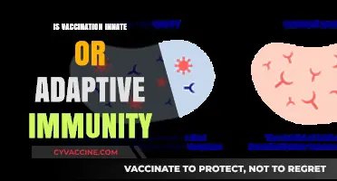 Exploring the Link Between Vaccination and Innate vs. Adaptive Immunity