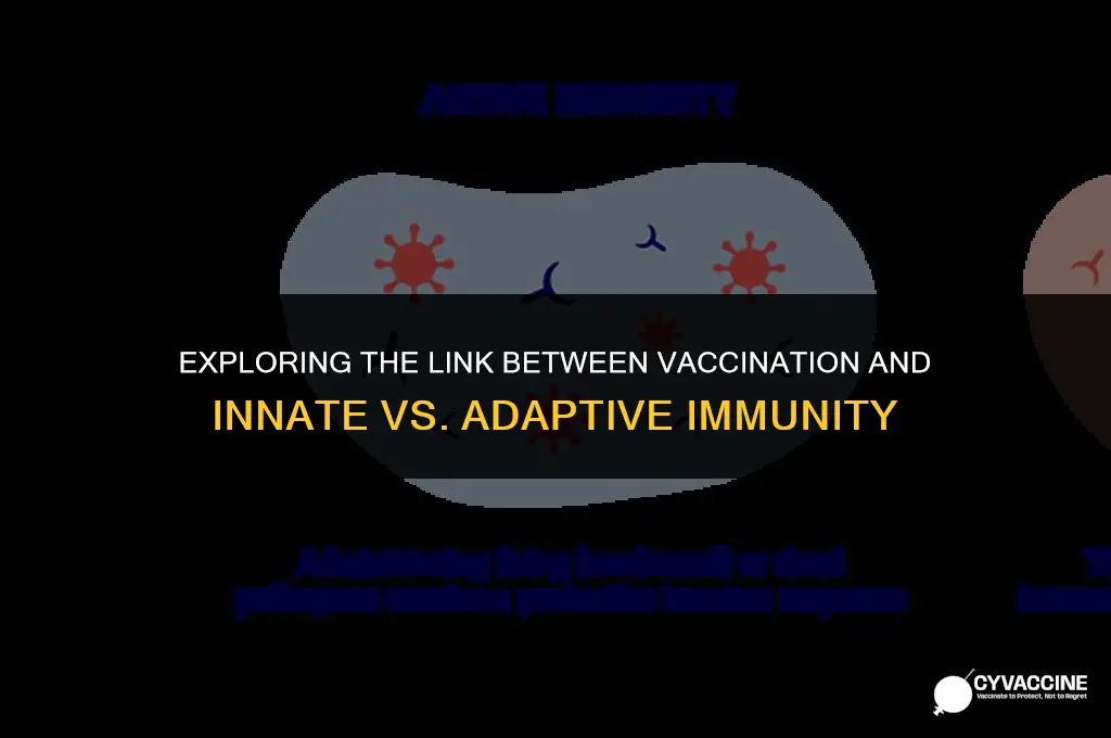 is vaccination innate or adaptive immunity