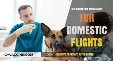 Vaccination Mandate for Domestic Flights: What You Need to Know
