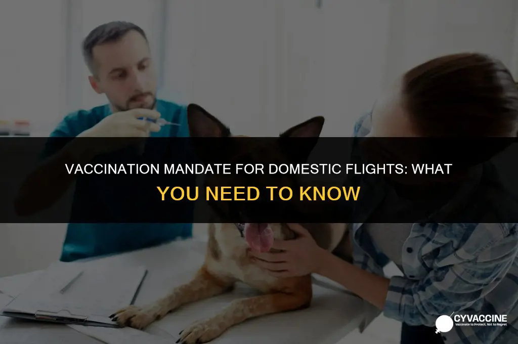 is vaccination mandatory for domestic flights