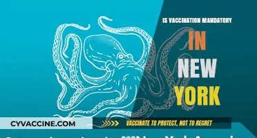 Exploring Vaccination Mandates in New York: A Comprehensive Guide