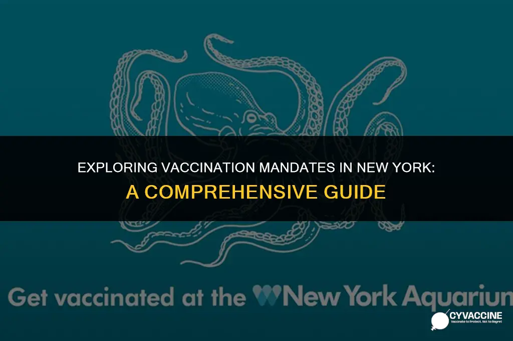 is vaccination mandatory in new york