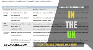 Vaccination in the UK: Understanding the Legal Requirements