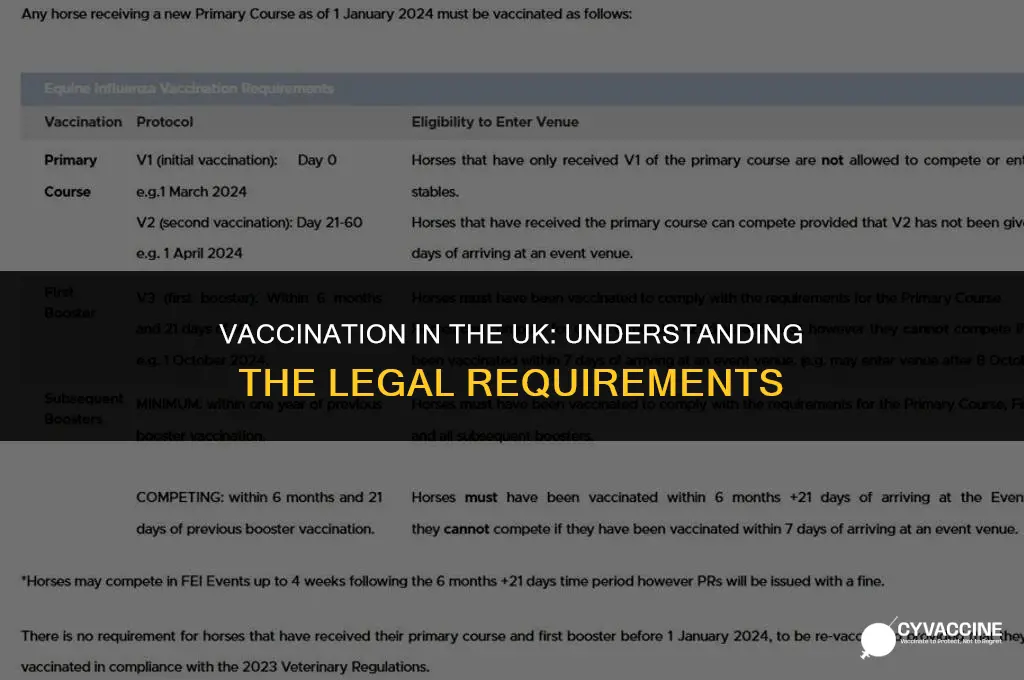 is vaccination mandatory in the uk