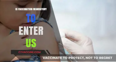 US Entry Requirements: The Truth About Vaccination Mandates