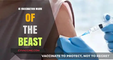 Decoding the Controversy: Vaccination and the Mark of the Beast