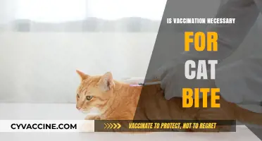 Feline Bites and Vaccination: Debunking Myths, Ensuring Safety