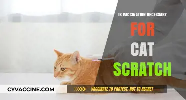 Feline Scratches and Vaccinations: Debunking Common Myths