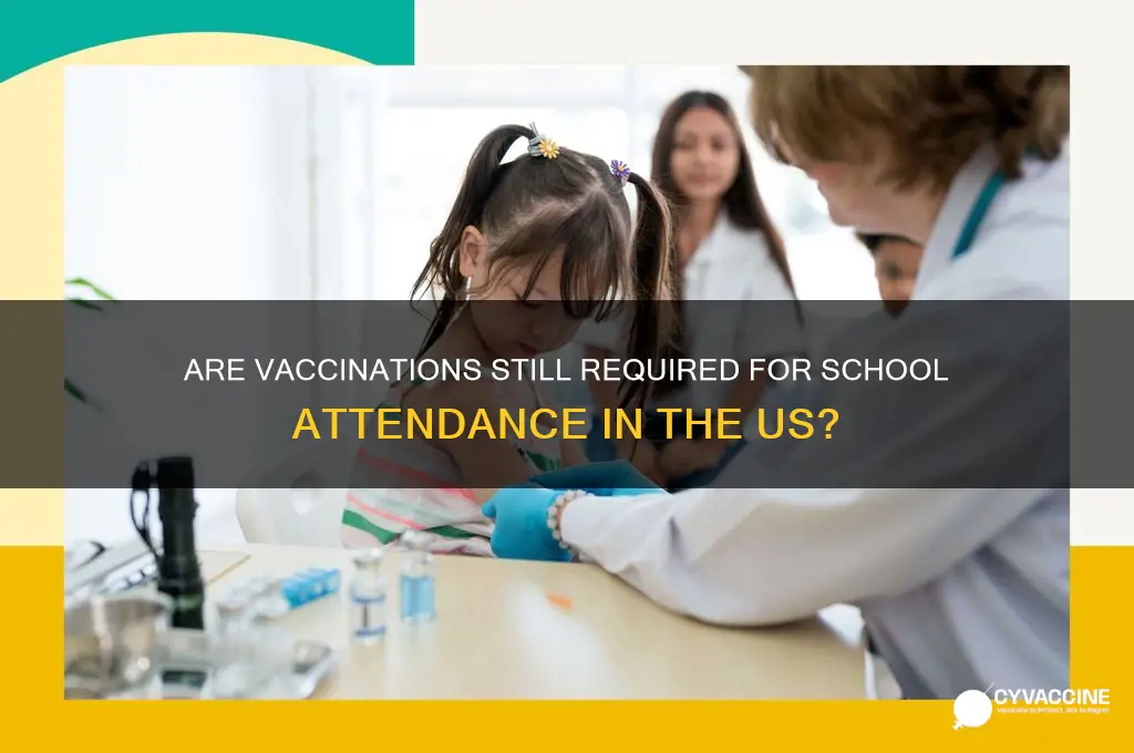 is vaccination still mandatory in schools in us