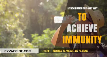 Beyond Vaccines: Exploring Alternative Paths to Achieving Immunity