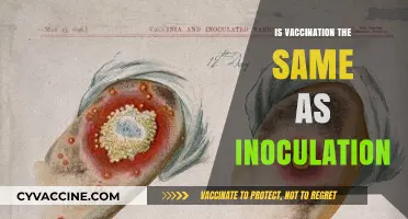 Understanding Immunization: The Key Differences Between Vaccination and Inoculation