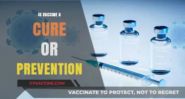 Exploring the Dual Role of Vaccines: Cure or Prevention?