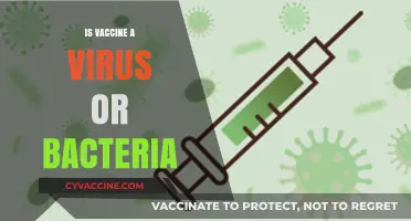 Decoding the Myth: Vaccines, Viruses, and Bacteria Explained