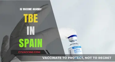 Exploring TBE Vaccine Availability and Recommendations in Spain
