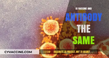 Decoding Immunity: The Distinct Roles of Vaccines and Antibodies