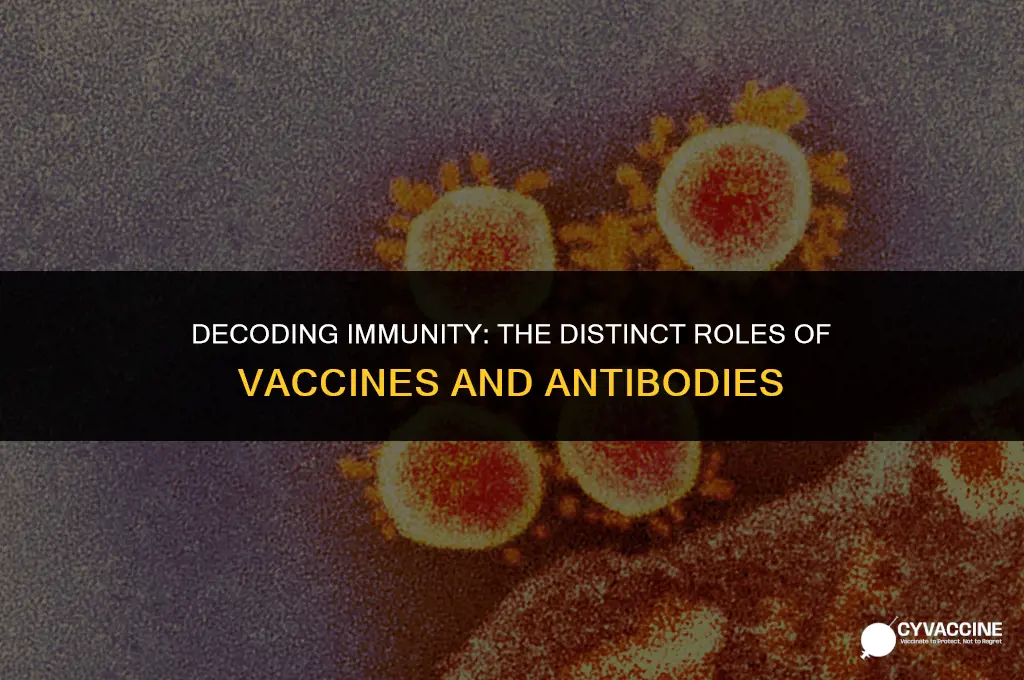 is vaccine and antibody the same