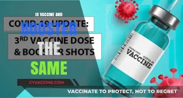 Understanding Vaccines and Boosters: Are They Interchangeable?