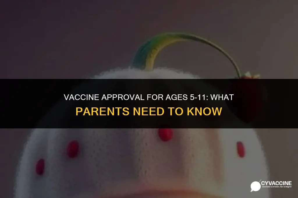 is vaccine approved for 5 11