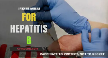 Exploring Hepatitis B Vaccination: Availability and Importance