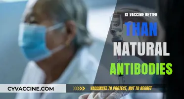 Vaccine vs. Natural Antibodies: Which Offers Better Protection?