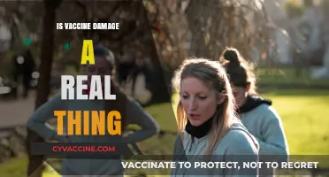Exploring the Myths and Facts: Is Vaccine Damage Real?
