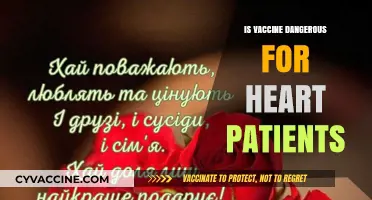 Heart Health and Vaccines: Separating Facts from Fears
