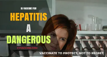 Exploring the Safety of Hepatitis A Vaccines: Facts and Myths