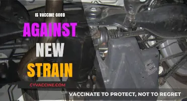 Combatting New Strains: The Enduring Efficacy of Vaccines
