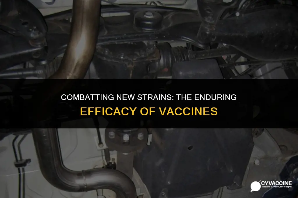 is vaccine good against new strain