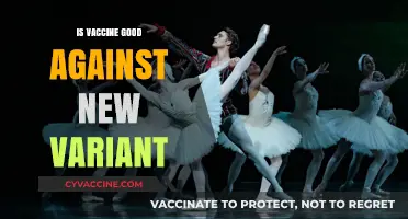 Combatting New Variants: The Enduring Efficacy of Vaccines