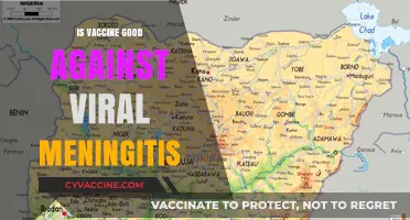 Combatting Viral Meningitis: The Power of Vaccination