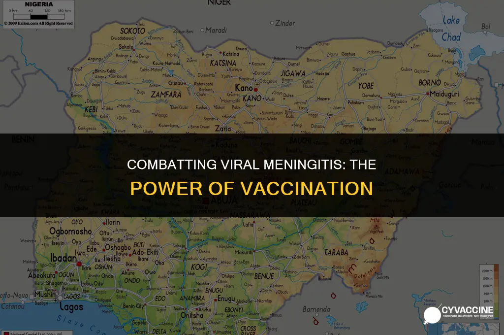 is vaccine good against viral meningitis