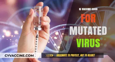 Combatting Mutations: The Enduring Efficacy of Vaccines