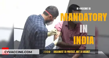 Decoding India's Vaccination Policy: Mandatory or Voluntary?