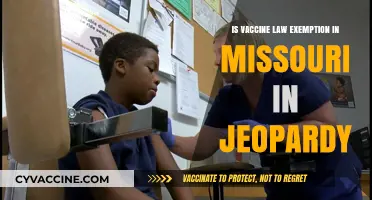 Missouri's Vaccine Law Exemption: Is Its Future at Risk?