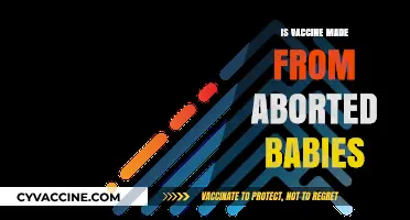 Unraveling Misconceptions: The Truth About Vaccines and Fetal Cells