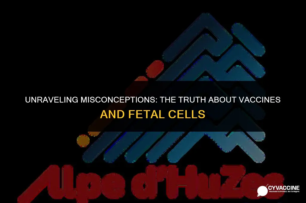 is vaccine made from aborted babies