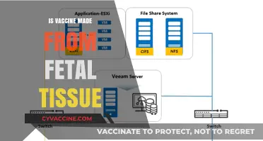 Exploring the Ethics and Science: Vaccines and Fetal Tissue