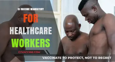 Debating Mandatory Vaccination for Healthcare Workers: A Comprehensive Overview