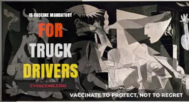Vaccine Mandate for Truck Drivers: What You Need to Know