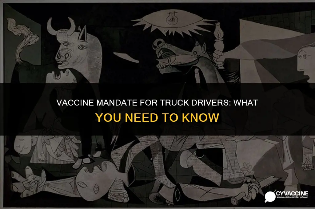 is vaccine mandatory for truck drivers