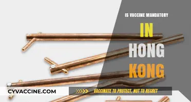 Exploring Vaccine Mandates: Hong Kong's Public Health Policies Unveiled