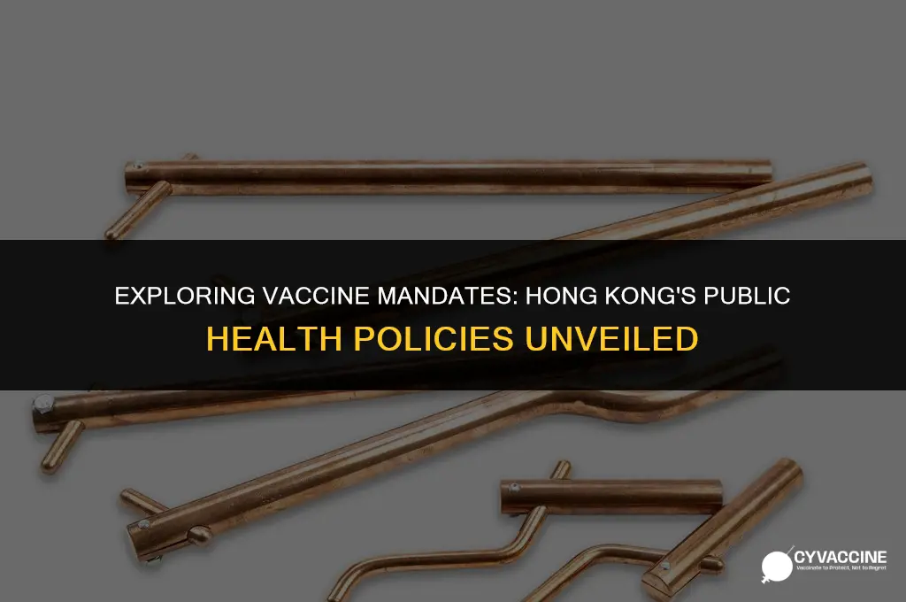 is vaccine mandatory in hong kong