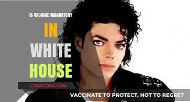 White House Vaccine Mandate: What You Need to Know