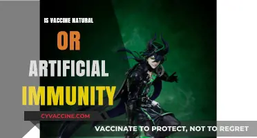 Natural vs. Artificial Immunity: Understanding Vaccines' Role