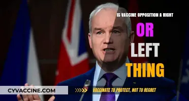 Vaccine Opposition: A Political Divide or Shared Misinformation?