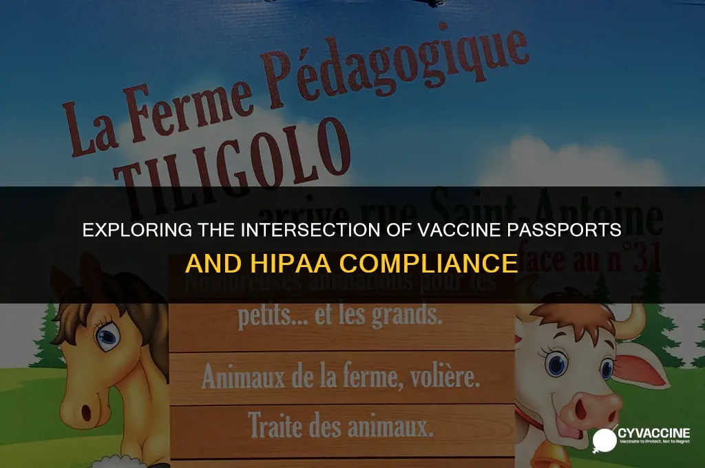 is vaccine passport violation of hipaa