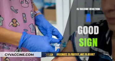 Is Vaccine Reaction a Good Sign? Understanding Your Body's Response