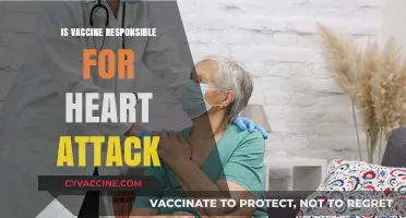 Exploring the Link: Vaccines and Heart Attack Risk